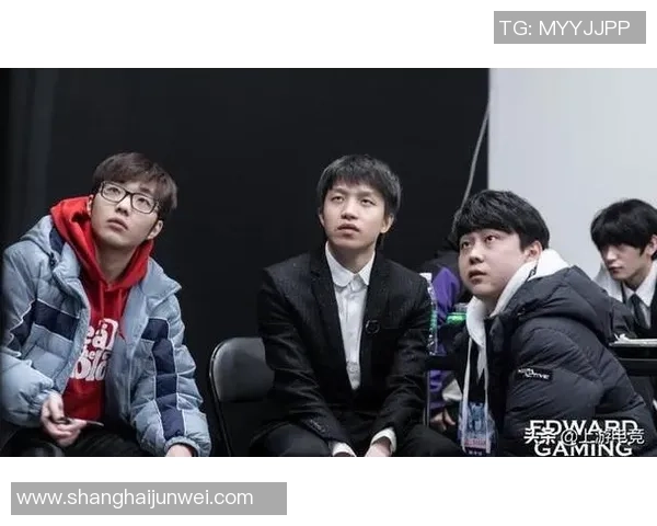 EDG战队区域防守策略深度解析与实战应用探讨